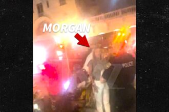 Sonja Morgan’s Heartfelt Farewell: Florida Restaurant Sends RHONY Star Off in Ambulance