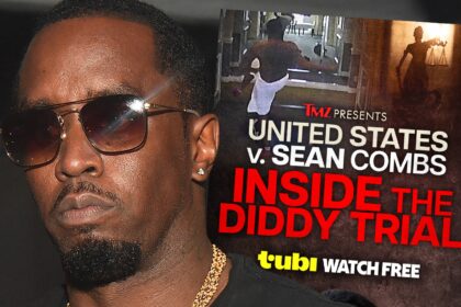 Inside The Diddy Chronicles