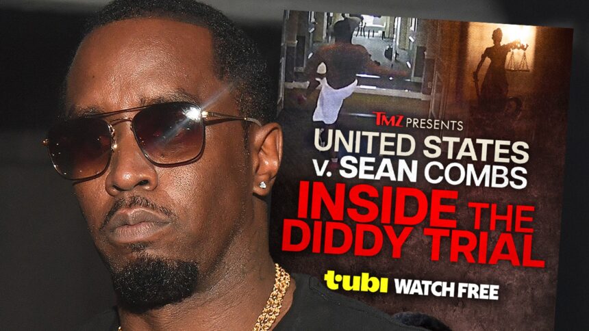 Inside The Diddy Chronicles