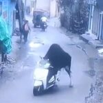 Sassy Scooter Thief Takes a Joyride in India