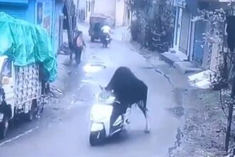 Sassy Scooter Thief Takes a Joyride in India