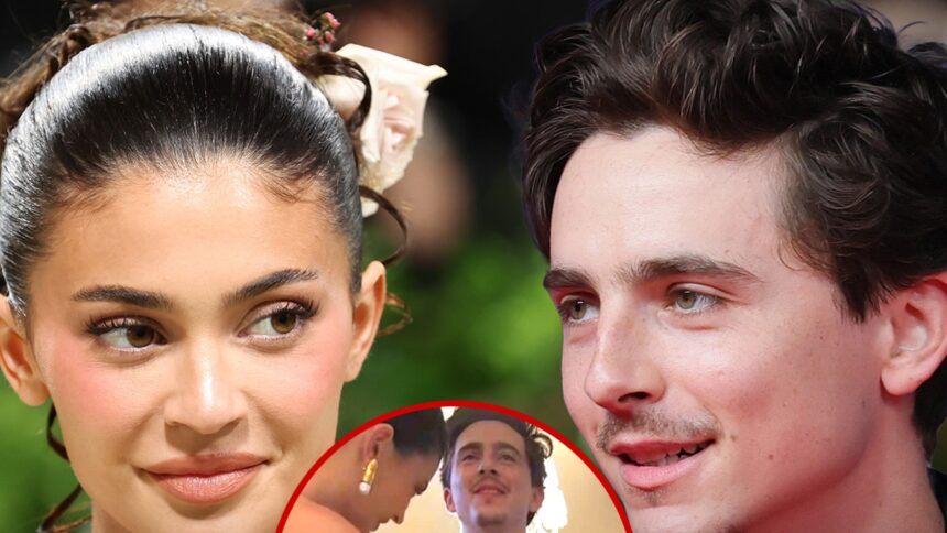 Kylie Jenner's Adorable Lint Roll Moment with Timothée Chalamet