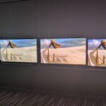 The Evolution of Mini-LED Technology: Insights from My TCL Visit and the Hidden Challenges Facing Netflix