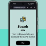 Nyt Strands Hints And Answers For Sunday, May 11 (Game #434) Revealed