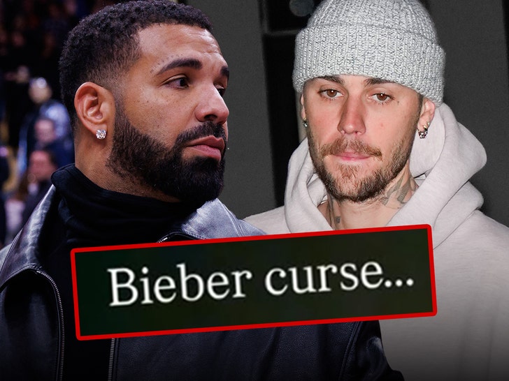 Drake at a hockey game