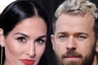 Nikki Bella Agrees to $3,500 Monthly Child Support for Artem Chigvintsev: A Deep Dive into Their Co-Parenting Journey