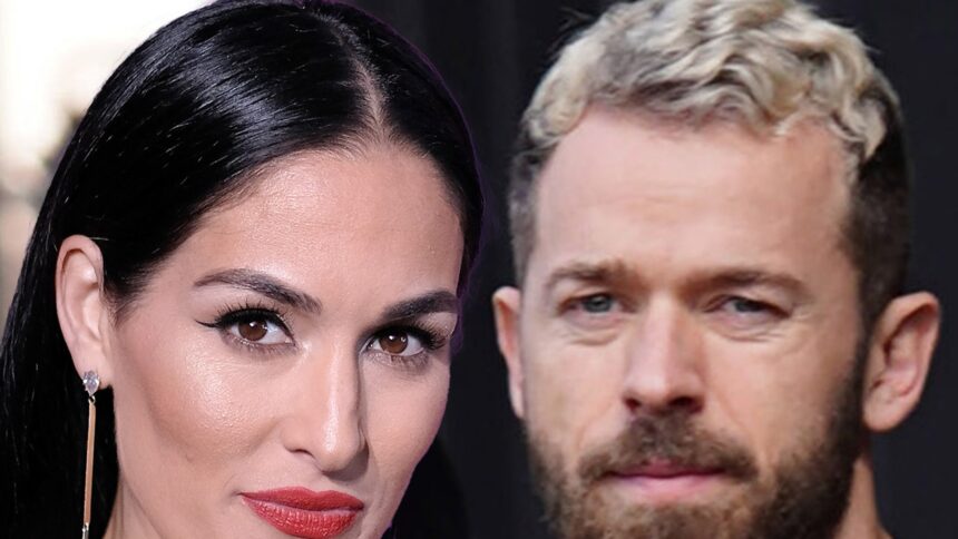 Nikki Bella Agrees to $3,500 Monthly Child Support for Artem Chigvintsev: A Deep Dive into Their Co-Parenting Journey