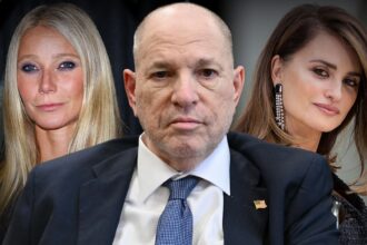 Harvey Weinstein Allegedly Named Gwyneth Paltrow After Assault, Accuser Claims