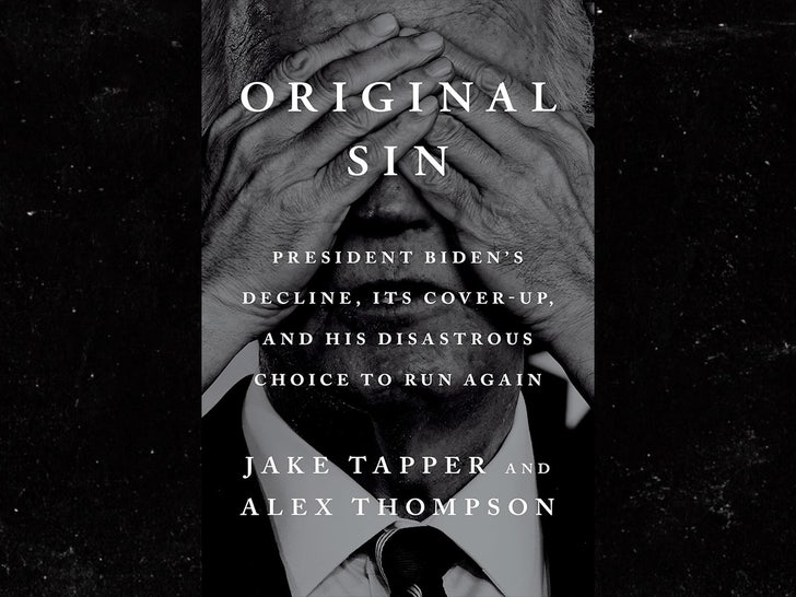 Original Sin Joe Biden book