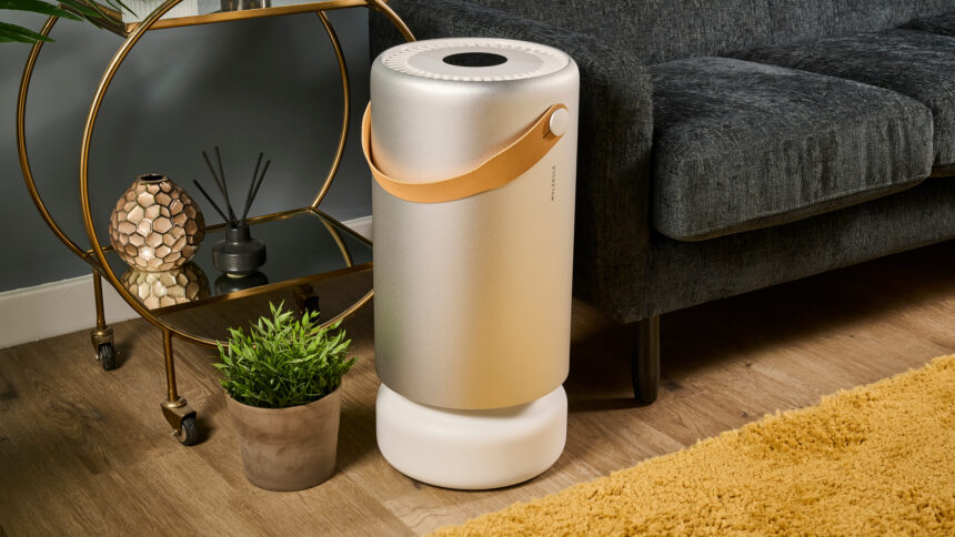 6 Essential Questions To Consider Before Selecting An Air Purifier