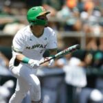 Hawaii Baseball Dominates UC San Diego with a Resounding 13-2 Victory