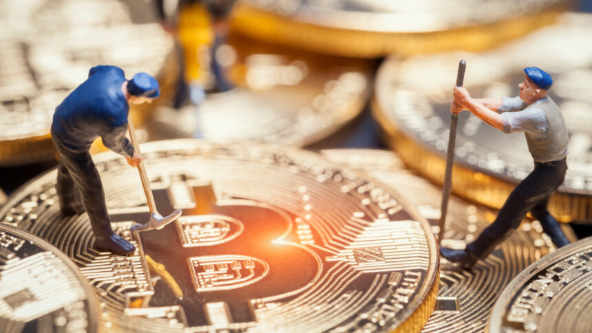 Twelve Additional Arrests Uncovered in Extensive RICO Investigation Targeting Crypto Fraud Schemes